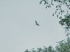 -河南省黄河迎宾馆