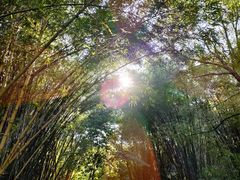 -晓港公园