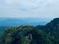 -王顺山国家森林公园