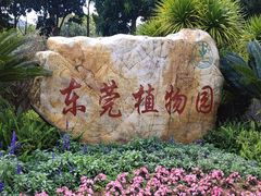 -东莞植物园