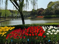 -上海鲜花港