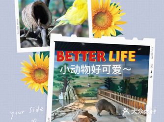 难得在武侯区居然可以找得到这样的一家动物乐园 
