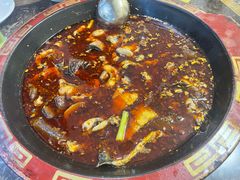 -蜀皇·菌汤鲜黄牛肉汤锅(宽窄巷子店)