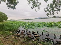-蠡湖大桥公园