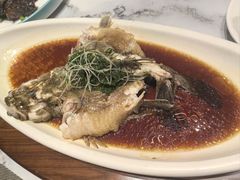 -老绍兴养和饭店(向阳不夜城店)