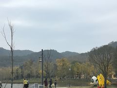 -千年银杏谷文化旅游区