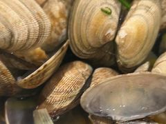 原汁花蛤-威海渔村(黄兴路店)