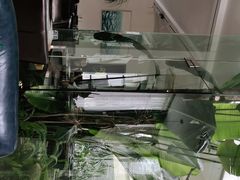 -IL Forno 意坊·意大利餐厅(花园店)