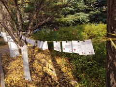 -山东师范大学(千佛山校区)