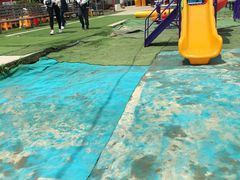 -小鱼草莓采摘园农家乐·小鱼餐厅