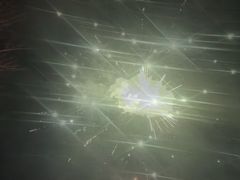 -老东北大铁锅·烧烤·东北菜