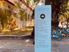 -三里屯东五街银杏大道