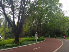 -南宁南湖公园