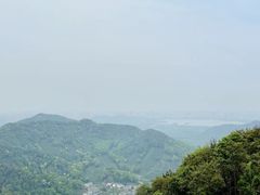 -龙井村