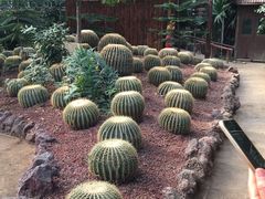 -呀路古热带植物园