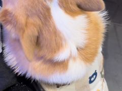 -里堂派对·独栋团建聚会小院轰趴馆(三圣乡店)