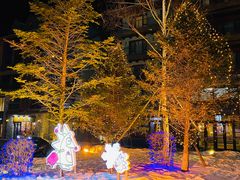-中旅松花湖滑雪场