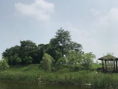 -黄海国家森林公园