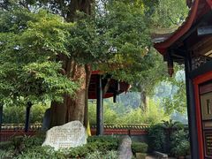-峨眉山报国寺