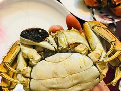 蟹母蟹-黄记大闸蟹专卖店·活蟹·醉蟹