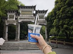 -云碧峰国家森林公园