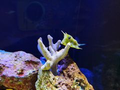 -上海海洋水族馆