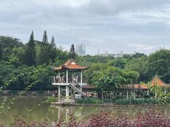 -深圳龙潭公园