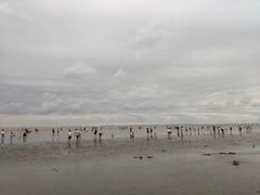 -南汇新城海滩