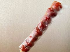 -和禄德冰糖葫芦