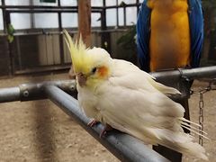 -南宫五洲植物乐园