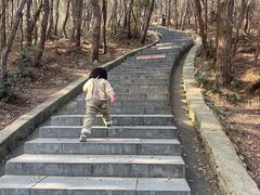 -冶父山国家森林公园