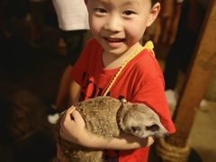 -清迈夜间动物园