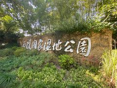 -西溪国家湿地公园