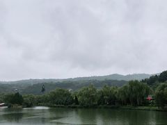 -黄帝陵