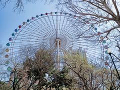 游乐设施-沈阳南湖公园