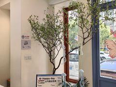-山与蓝·轻糖鲜果蛋糕(勒泰店)