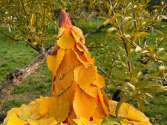 -汉长安城未央宫国家考古遗址公园