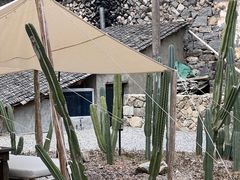 -MOJ coffee(瓯海泽雅水碓坑店)