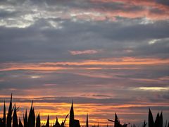 -天发长铁锅炖(王秀村店)