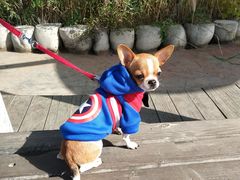 -永定河休闲森林公园