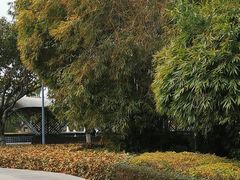 -厦门园林博览苑
