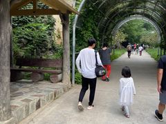 -十渡东湖港风景区