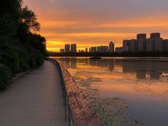 -长白岛森林公园