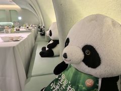 -眉州东坡·熊猫主题餐厅(枫蓝店)