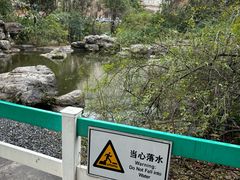 -神仙树公园