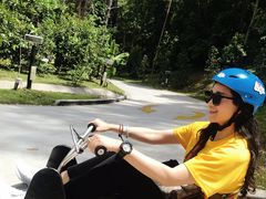 -圣淘沙天际线斜坡滑车