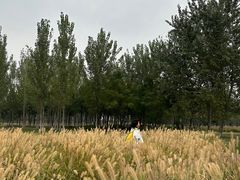 -汉长安城未央宫国家考古遗址公园