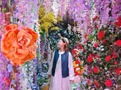 -正佳雨林生态植物园