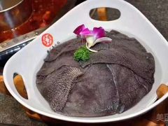 -鼎汇丰重庆老火锅(鞍顺园店)