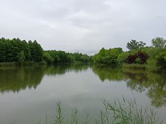 -苏州太湖国家湿地公园